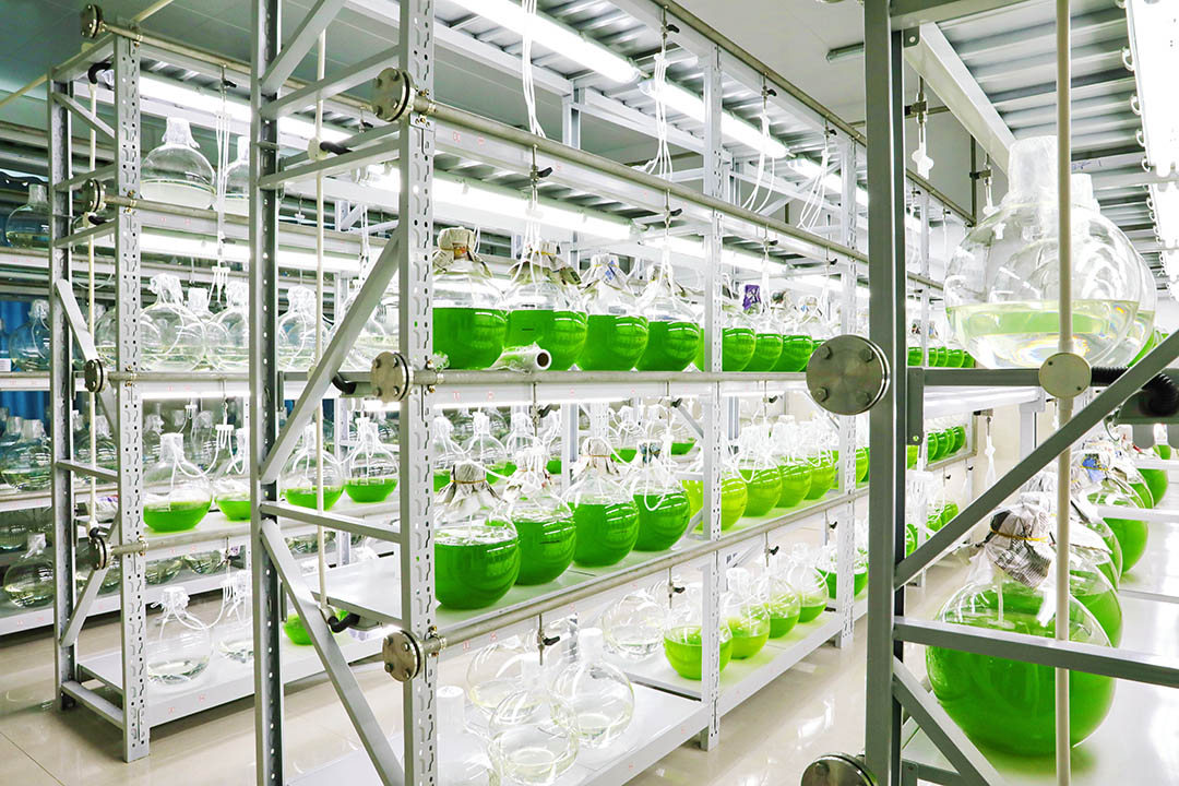 һ���U(ku��)�N��